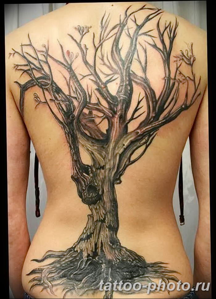 Фото рисунка тату дерево 07.11.2018 № 363 - photo tattoo tree - tattoo-phot...