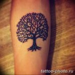 Фото рисунка тату дерево 07.11.2018 №384 - photo tattoo tree - tattoo-photo.ru