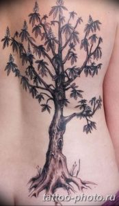 Фото рисунка тату дерево 07.11.2018 №387 - photo tattoo tree - tattoo-photo.ru