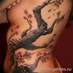 Фото рисунка тату дерево 07.11.2018 №464 - photo tattoo tree - tattoo-photo.ru