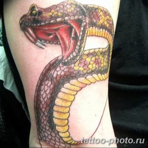 Фото рисунка тату змея 23.11.2018 №009 - snake tattoo photo - tattoo-photo.ru