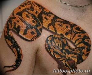 Фото рисунка тату змея 23.11.2018 №010 - snake tattoo photo - tattoo-photo.ru