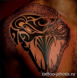 Фото рисунка тату змея 23.11.2018 №012 - snake tattoo photo - tattoo-photo.ru