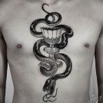Фото рисунка тату змея 23.11.2018 №017 - snake tattoo photo - tattoo-photo.ru