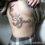 Фото рисунка тату змея 23.11.2018 №018 - snake tattoo photo - tattoo-photo.ru