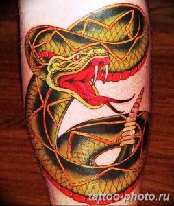 Фото рисунка тату змея 23.11.2018 №026 - snake tattoo photo - tattoo-photo.ru