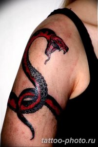 Фото рисунка тату змея 23.11.2018 №031 - snake tattoo photo - tattoo-photo.ru