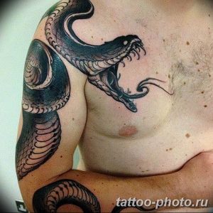 Фото рисунка тату змея 23.11.2018 №036 - snake tattoo photo - tattoo-photo.ru