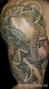 Фото рисунка тату змея 23.11.2018 №037 - snake tattoo photo - tattoo-photo.ru