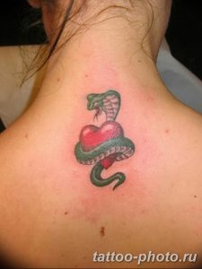 Фото рисунка тату змея 23.11.2018 №038 - snake tattoo photo - tattoo-photo.ru