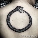 Фото рисунка тату змея 23.11.2018 №045 - snake tattoo photo - tattoo-photo.ru