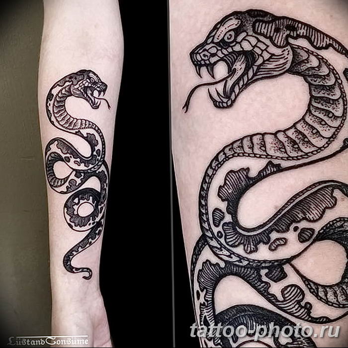 Змея двуглавая тату на руке