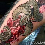 Фото рисунка тату змея 23.11.2018 №060 - snake tattoo photo - tattoo-photo.ru