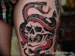 Фото рисунка тату змея 23.11.2018 №061 - snake tattoo photo - tattoo-photo.ru