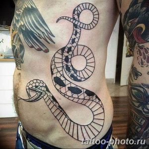 Фото рисунка тату змея 23.11.2018 №062 - snake tattoo photo - tattoo-photo.ru