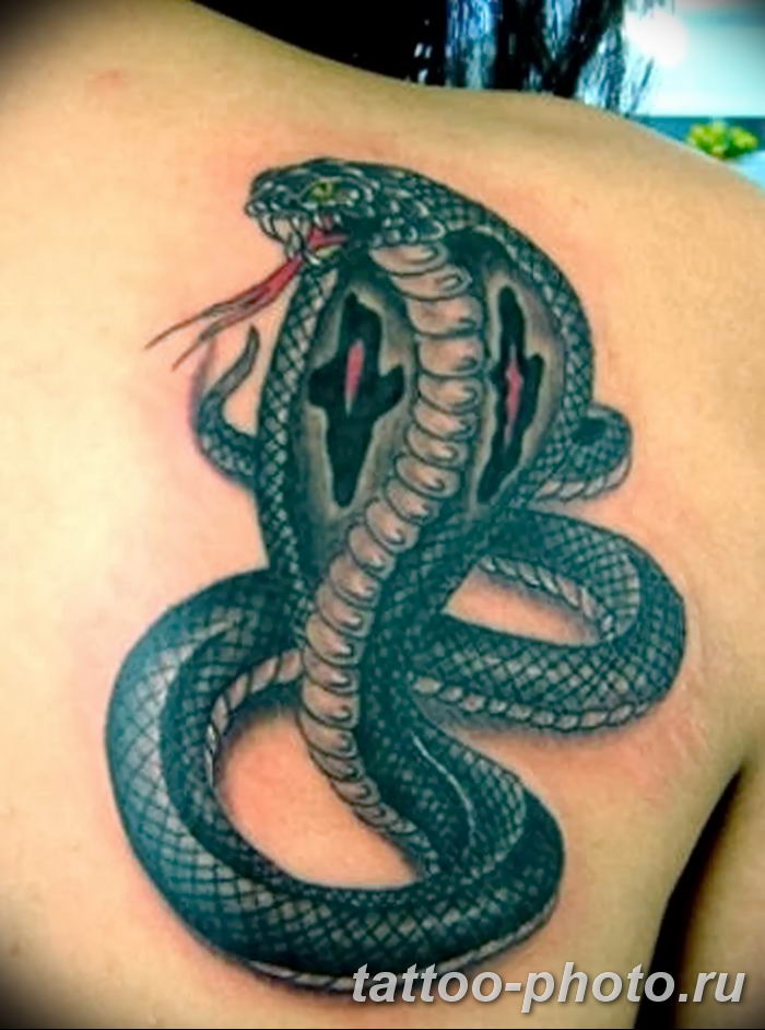 Отношения между змеей и змеей. Тату Кобра. Тату змеи. Татуировки со змеями. Тату змея Кобра.