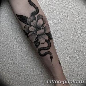 Фото рисунка тату змея 23.11.2018 №086 - snake tattoo photo - tattoo-photo.ru