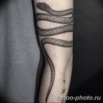 Фото рисунка тату змея 23.11.2018 №090 - snake tattoo photo - tattoo-photo.ru