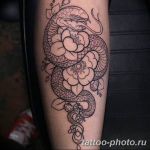 Фото рисунка тату змея 23.11.2018 №115 - snake tattoo photo - tattoo-photo.ru