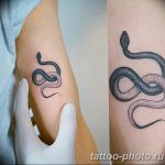 Фото рисунка тату змея 23.11.2018 №118 - snake tattoo photo - tattoo-photo.ru