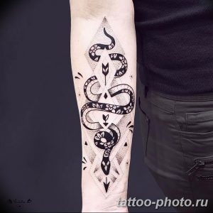 Фото рисунка тату змея 23.11.2018 №123 - snake tattoo photo - tattoo-photo.ru