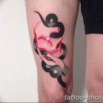 Фото рисунка тату змея 23.11.2018 №159 - snake tattoo photo - tattoo-photo.ru