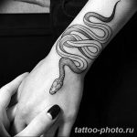 Фото рисунка тату змея 23.11.2018 №198 - snake tattoo photo - tattoo-photo.ru