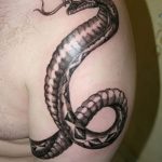 Фото рисунка тату змея 23.11.2018 №223 - snake tattoo photo - tattoo-photo.ru