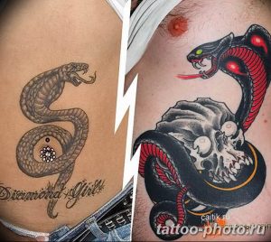Фото рисунка тату змея 23.11.2018 №312 - snake tattoo photo - tattoo-photo.ru
