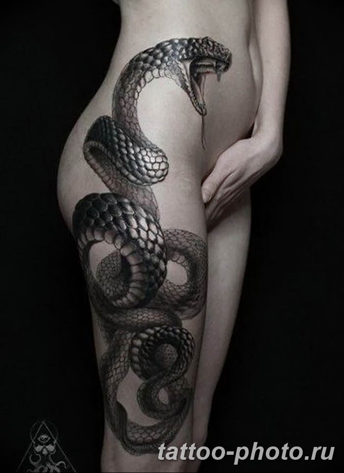 Фото рисунка тату змея 23.11.2018 № 314 - snake tattoo photo - tattoo-photo...