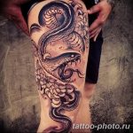 Фото рисунка тату змея 23.11.2018 №339 - snake tattoo photo - tattoo-photo.ru