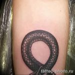 Фото рисунка тату змея 23.11.2018 №359 - snake tattoo photo - tattoo-photo.ru
