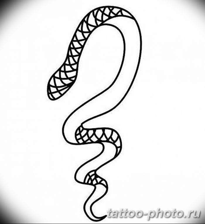Прическа с рисунком змеи