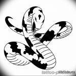 Фото рисунка тату змея 23.11.2018 №423 - snake tattoo photo - tattoo-photo.ru