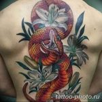 Фото рисунка тату змея 23.11.2018 №427 - snake tattoo photo - tattoo-photo.ru