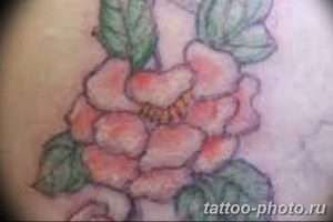 Фото рисунка тату камелия 24.11.2018 №008 - photo tattoo camellia - tattoo-photo.ru