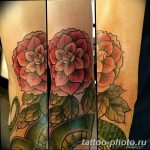 Фото рисунка тату камелия 24.11.2018 №014 - photo tattoo camellia - tattoo-photo.ru