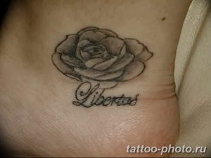 Фото рисунка тату камелия 24.11.2018 №021 - photo tattoo camellia - tattoo-photo.ru