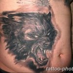 Фото рисунка тату оборотень 24.11.2018 №067 - photo tattoo werewolf - tattoo-photo.ru