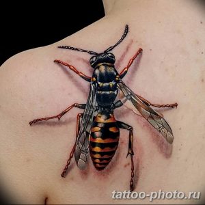 Фото рисунка тату оса 06.11.2018 №001 - photo tattoo wasp - tattoo-photo.ru