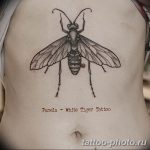 Фото рисунка тату оса 06.11.2018 №005 - photo tattoo wasp - tattoo-photo.ru