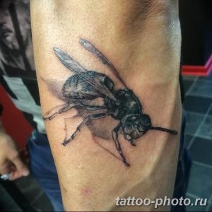 Фото рисунка тату оса 06.11.2018 №041 - photo tattoo wasp - tattoo-photo.ru