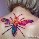 Фото рисунка тату оса 06.11.2018 №046 - photo tattoo wasp - tattoo-photo.ru