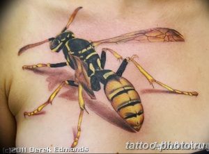 Фото рисунка тату оса 06.11.2018 №049 - photo tattoo wasp - tattoo-photo.ru