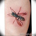 Фото рисунка тату оса 06.11.2018 №071 - photo tattoo wasp - tattoo-photo.ru