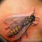 Фото рисунка тату оса 06.11.2018 №089 - photo tattoo wasp - tattoo-photo.ru