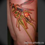 Фото рисунка тату оса 06.11.2018 №144 - photo tattoo wasp - tattoo-photo.ru