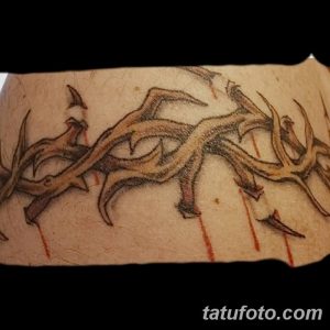 Фото рисунка тату терновник 05.11.2018 №077 - photo tattoo blackthorn - tatufoto.com