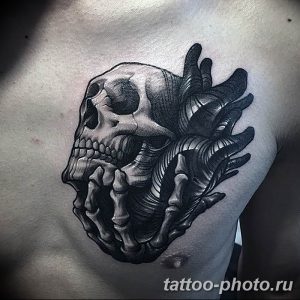 Фото рисунка тату череп 24.11.2018 №157 - photo tattoo skull - tattoo-photo.ru