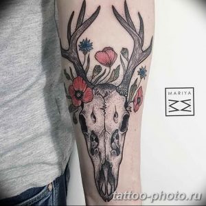 Фото рисунка тату череп 24.11.2018 №169 - photo tattoo skull - tattoo-photo.ru